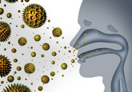 allergy-rhinitis-types allergy-rhinitis-types